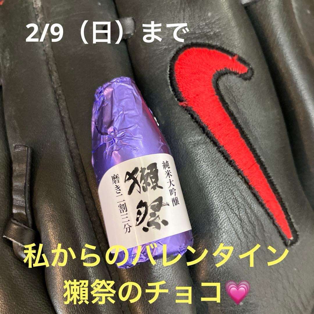 希少 野球 グローブ NIKE ナイキ PRO GOLD 1150 右投+ 大谷