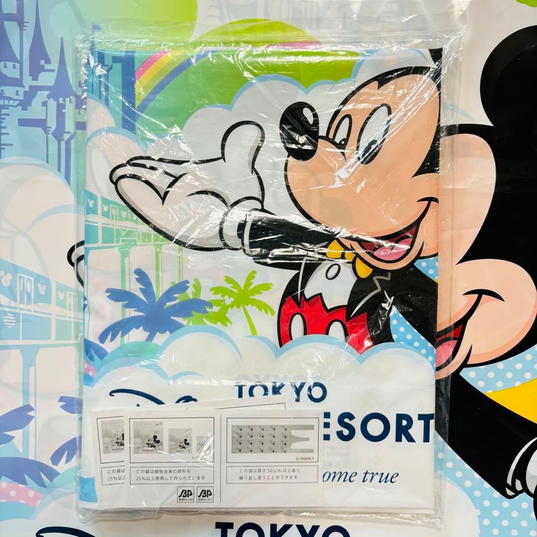 ディズニー　お土産袋