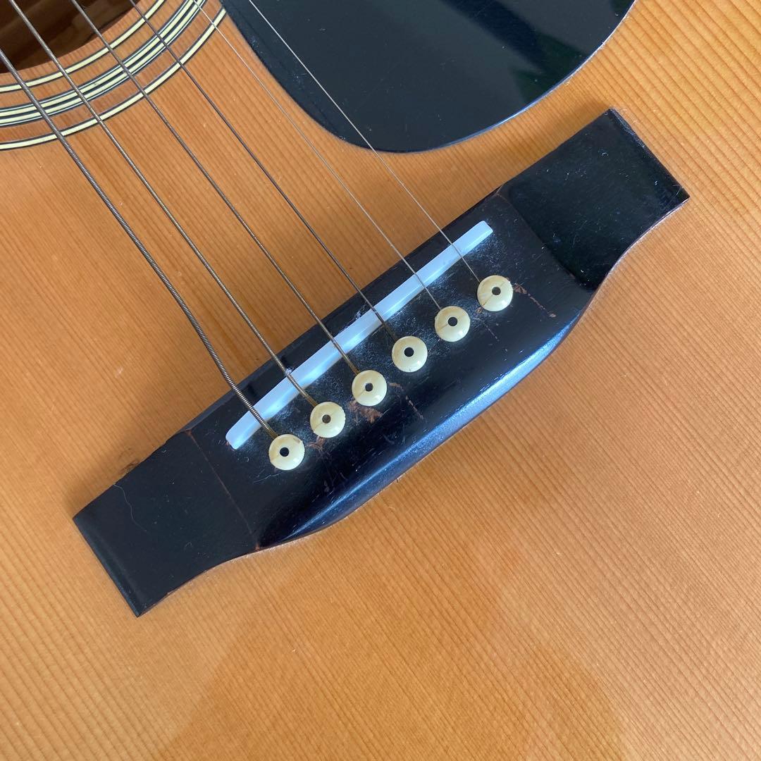 Morris W-20 アコースティックギター