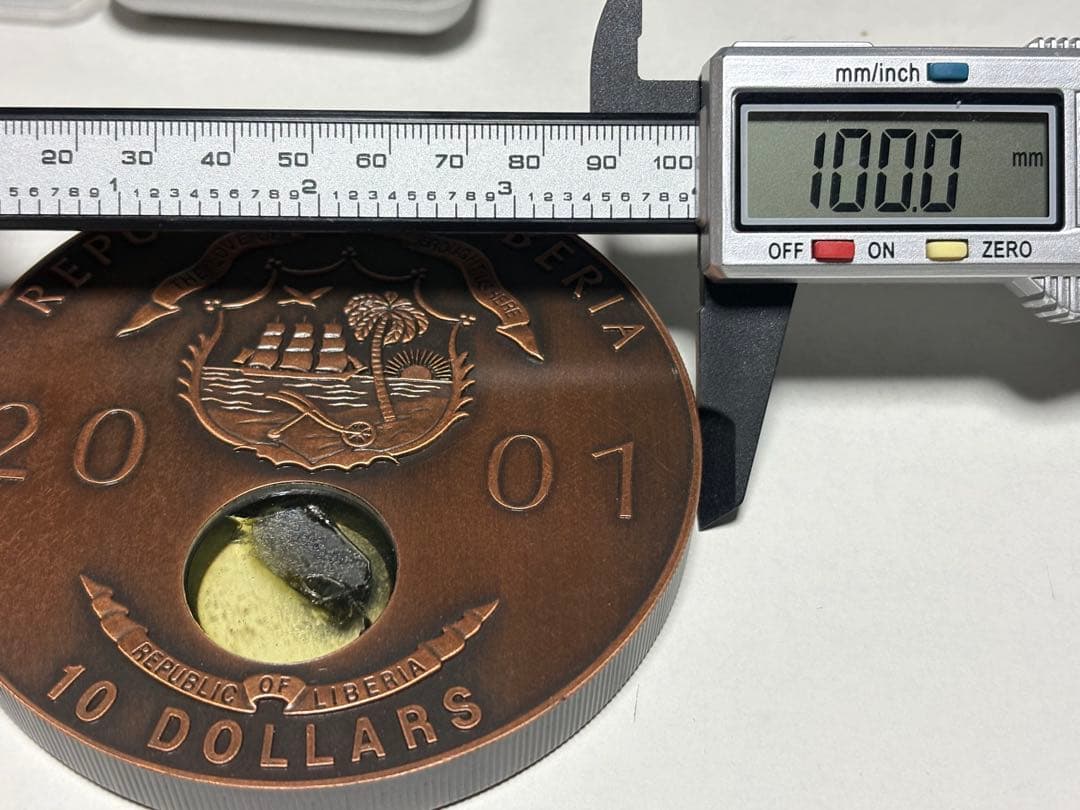 純銅　770g 特大　10ドル