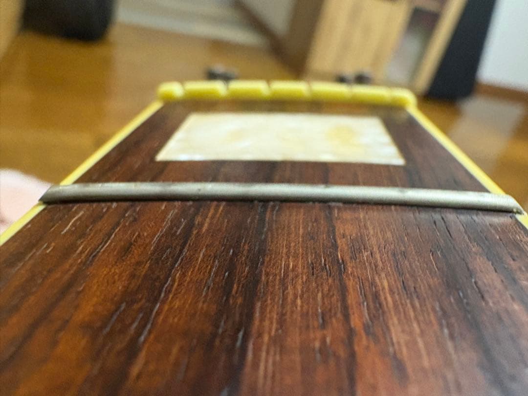 Ibanez アイバニーズ Light様