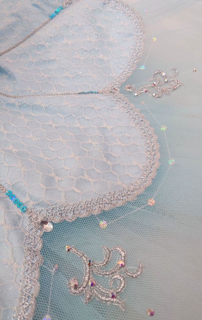 【フロリナ、シルヴィア】 チャコット・バレエ衣裳 袖飾り付き・美品 ６号サイズ