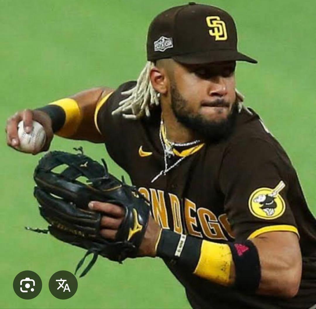 (タティスjr使用モデル)USAMizuno 硬式内野手用グローブ