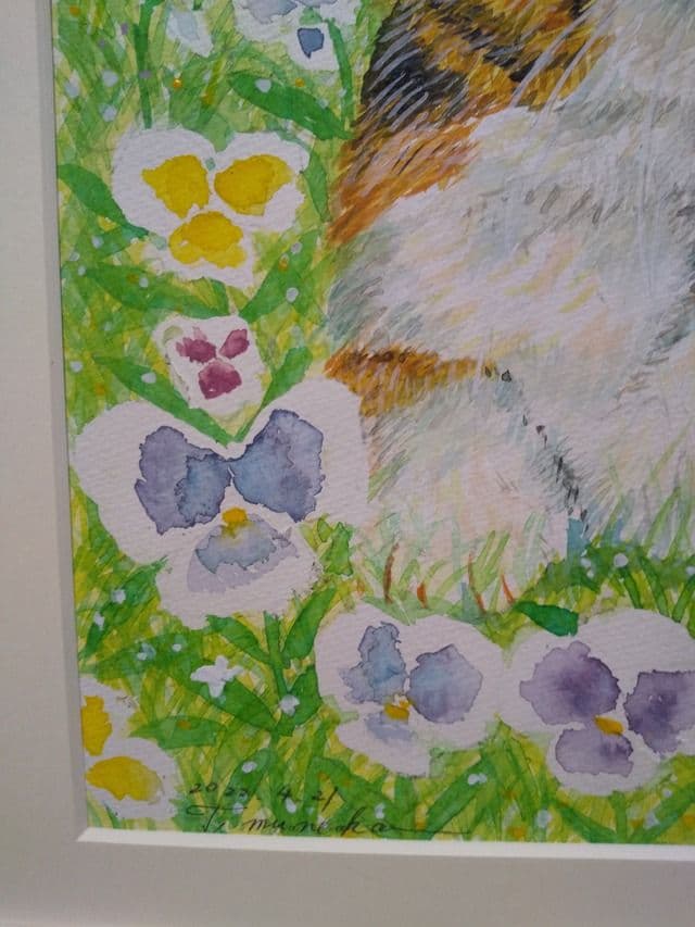 アサちゃんの毛づくろい