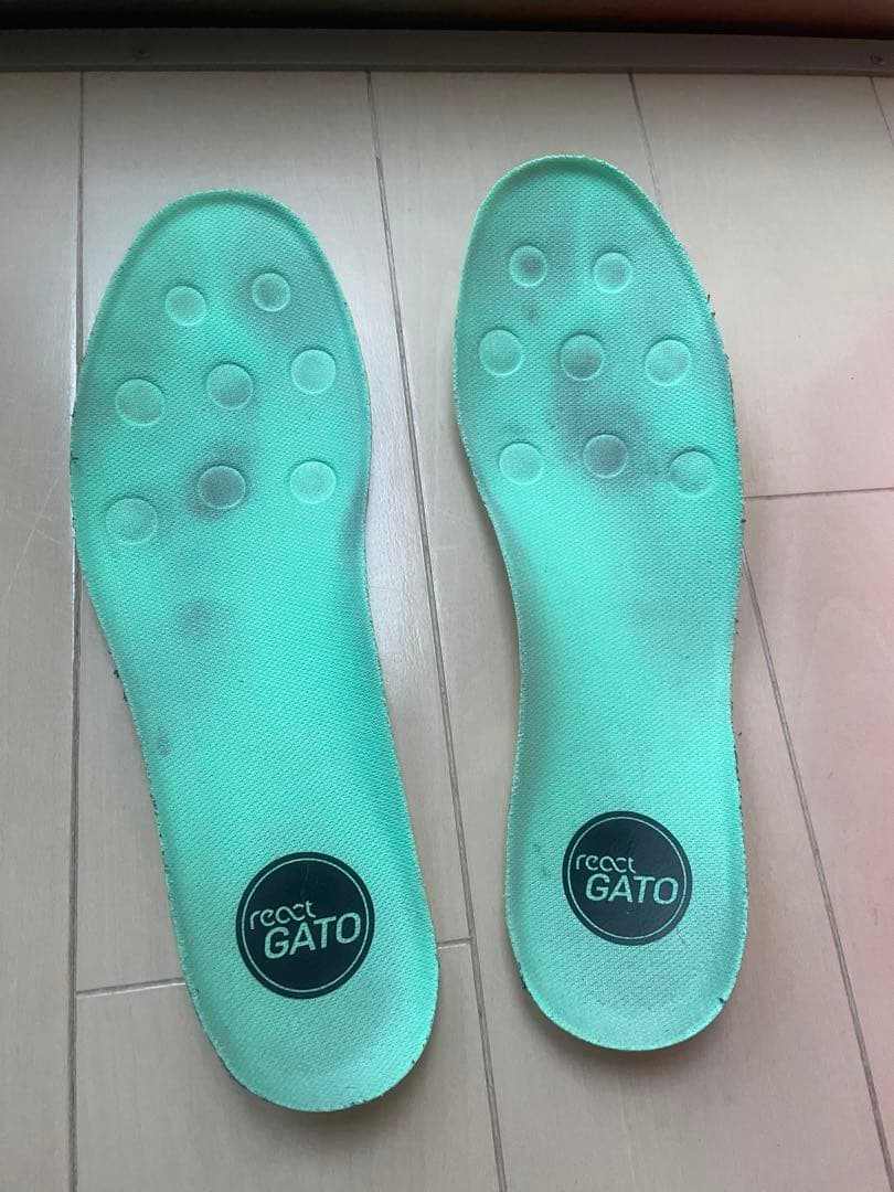 Nike リアクトガト26cm