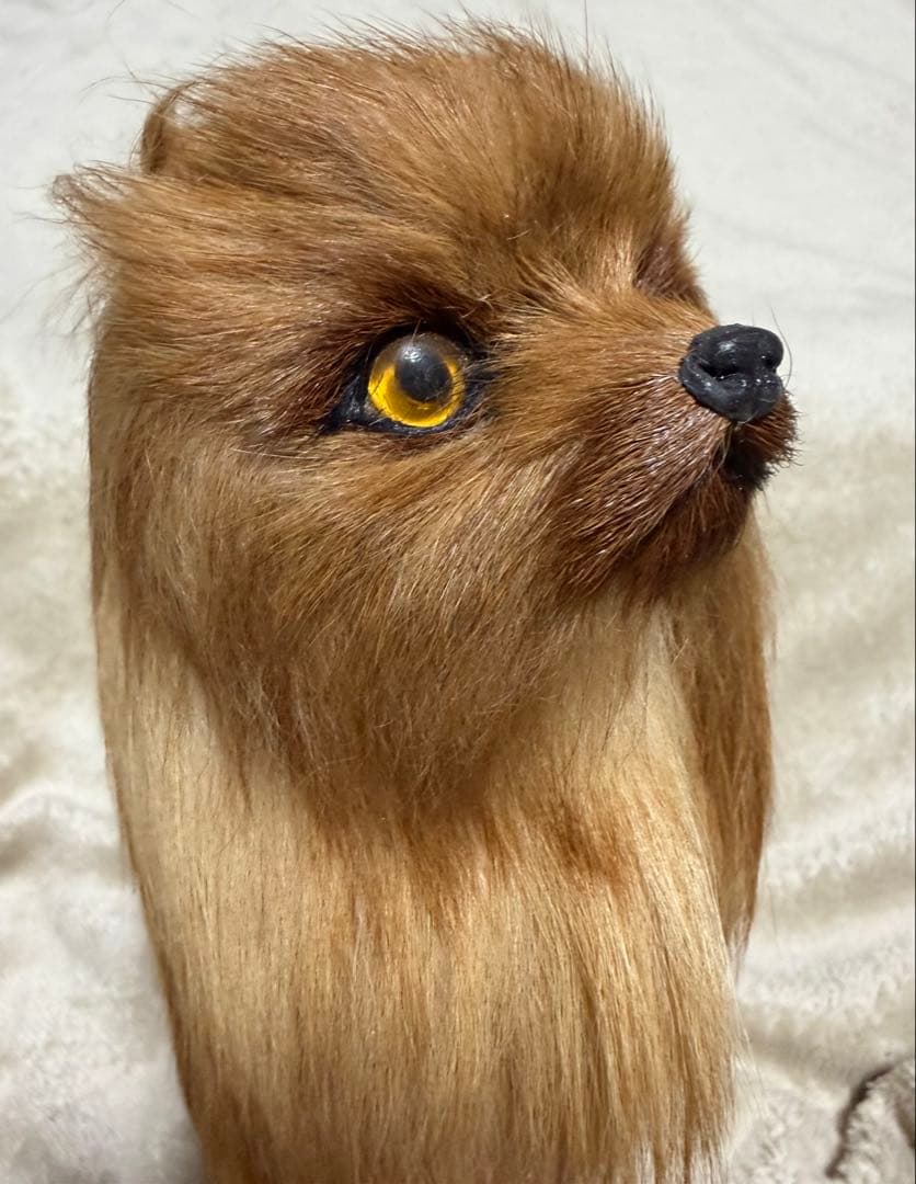犬　ポメラニアン　リアル　置物