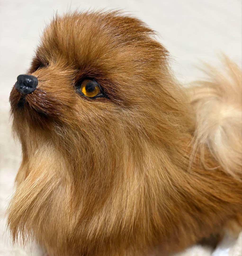 犬　ポメラニアン　リアル　置物