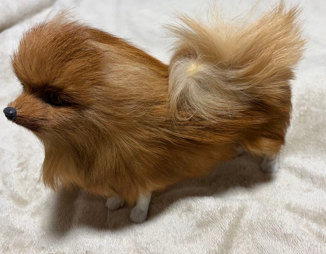 犬　ポメラニアン　リアル　置物