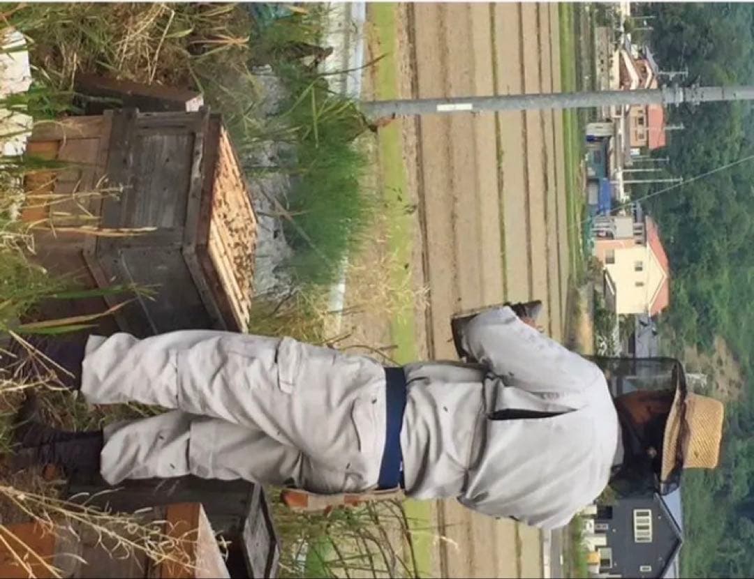 わんこ様用 はちみつ みかん蜜600ｇ 4本