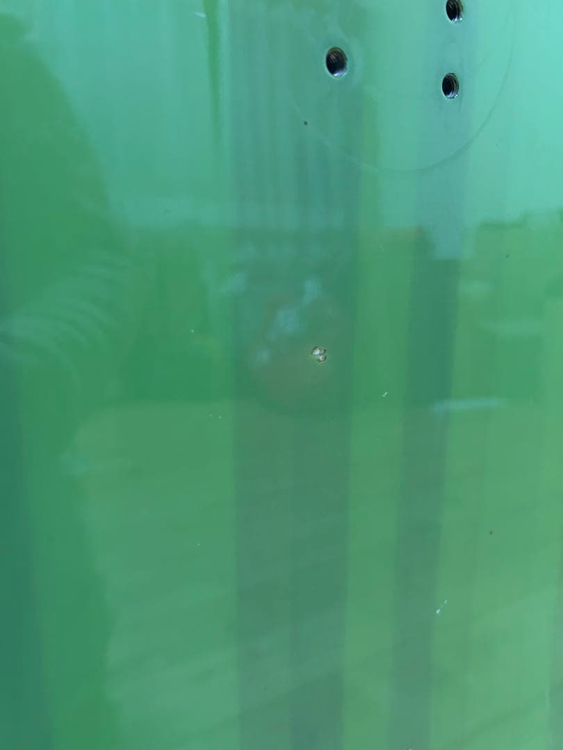 スノーボード GENTEMSTICK SLASHER