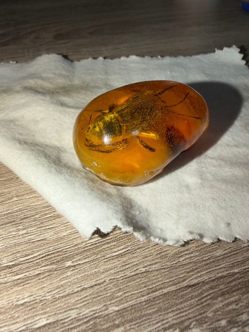虫入り琥珀 天然アンバー 約30g 高透明 大型昆虫封入 標本