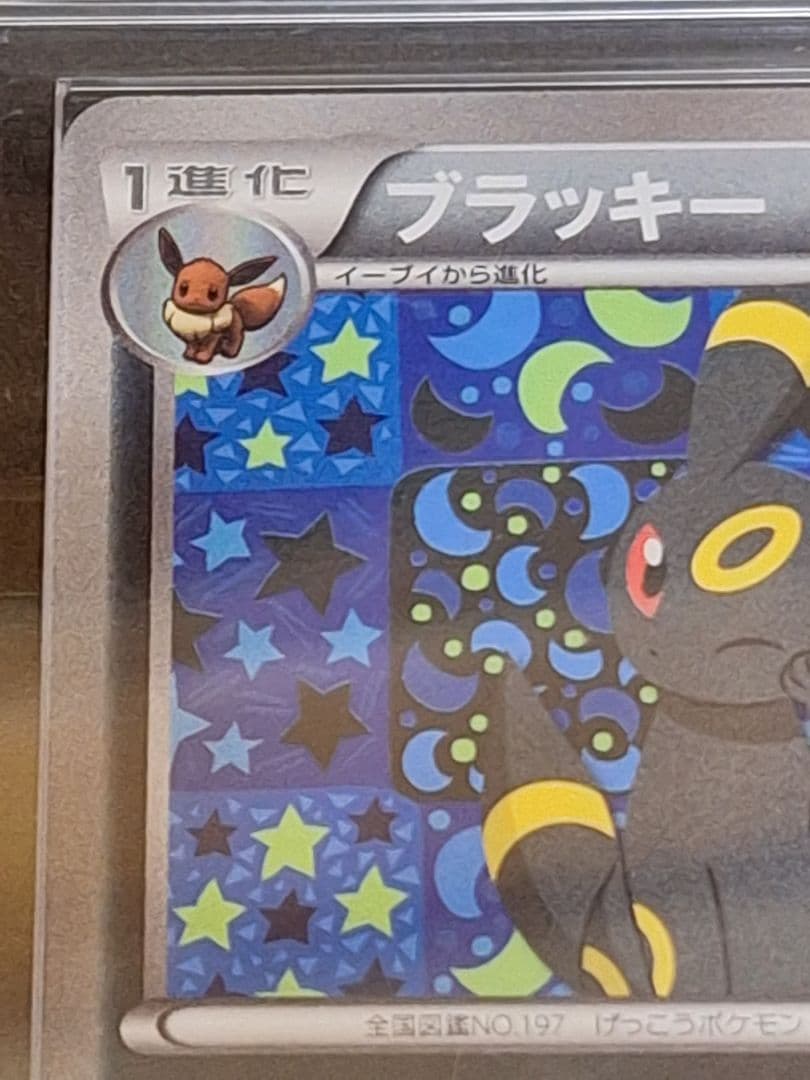 ARS8 ブラッキー イーブイコレクション ファイル プロモ ブイズ