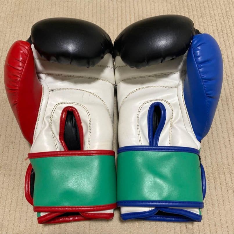 ISAMI シュートボクシング グローブ 16オンス