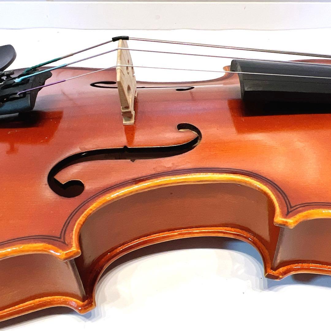 【良品】Andreas Eastman VL80 1/4 2021年製