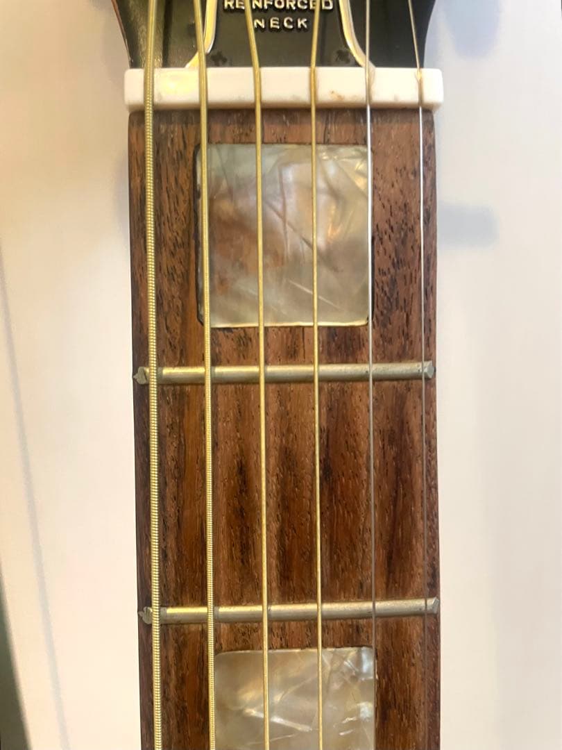 スプレンダー：Ｆ－１５０アコースティックギター