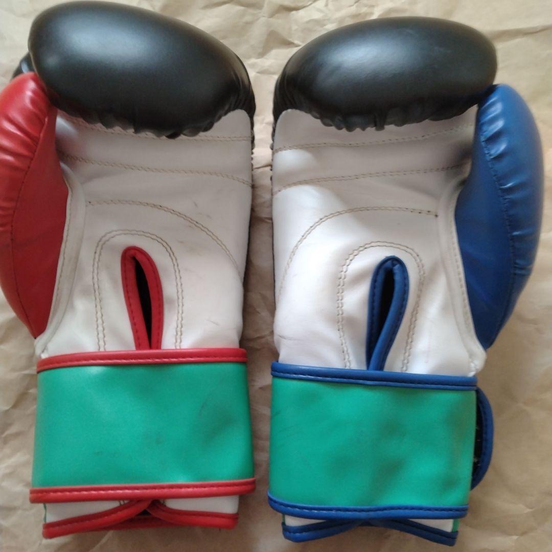 ISAMI シュートボクシング　コラボ マススパー用グローブ16オンス