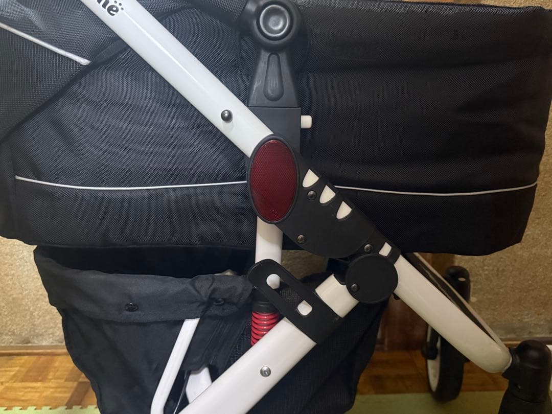 ピッコロカ－ネタント2