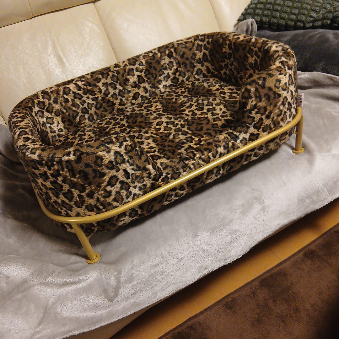 KARE DESIGN　カレ　ディーバレオ　ドッグ　キャットベッド　レオパード柄