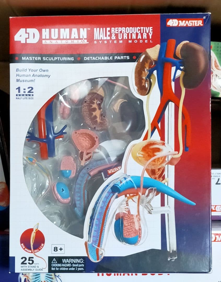 立体パズル4D VISION