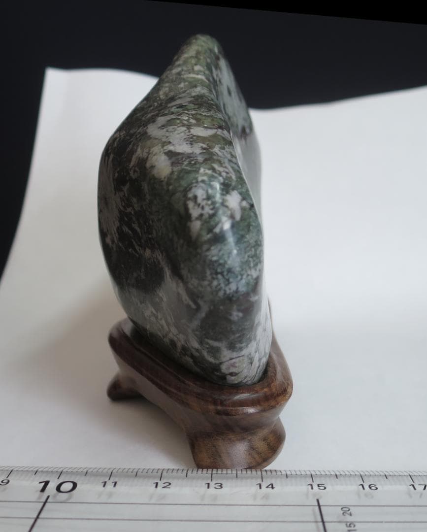 菊花石 　根尾菊花石 緑地に白花　鑑賞石　水石 盆栽