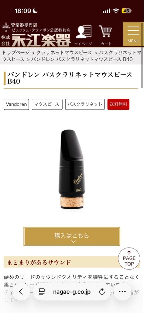 B40 バスクラリネット マウスピース リガチャー キャップ リードセット