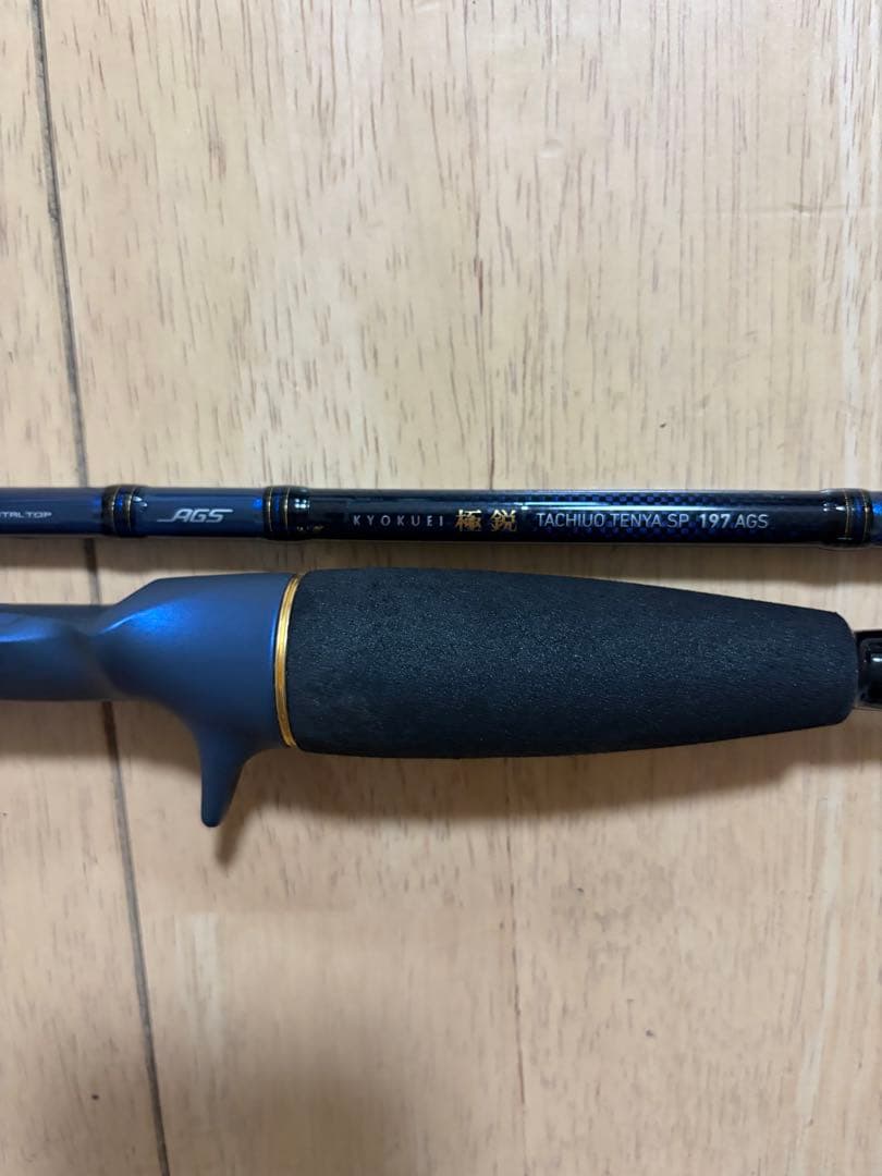 極鋭タチウオテンヤSP 197AGS ダイワ