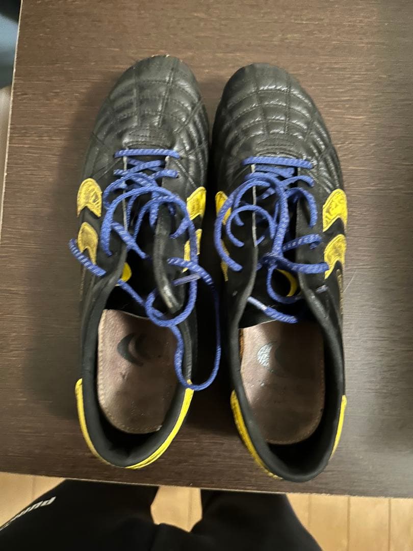 YASUDA リガレスタ Pro-ex