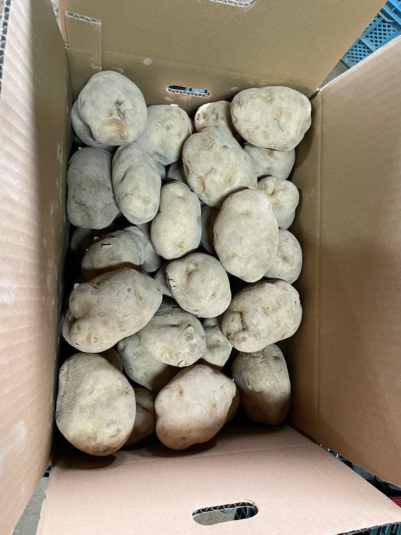 まー　北海道産訳あり男爵40キロ