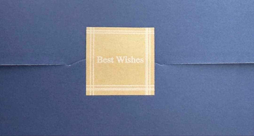 トモゴマフ　ブルーアーカイブ 一之瀬アスナ　バニーガールver.