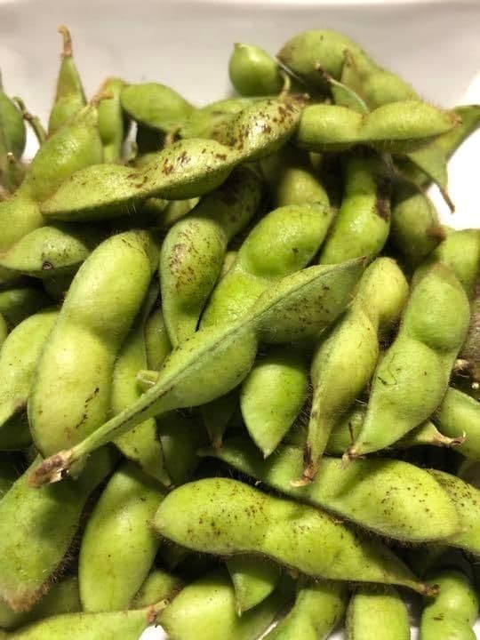 兵庫県丹波篠山市産 3.2キロ黒枝豆 さやのみ