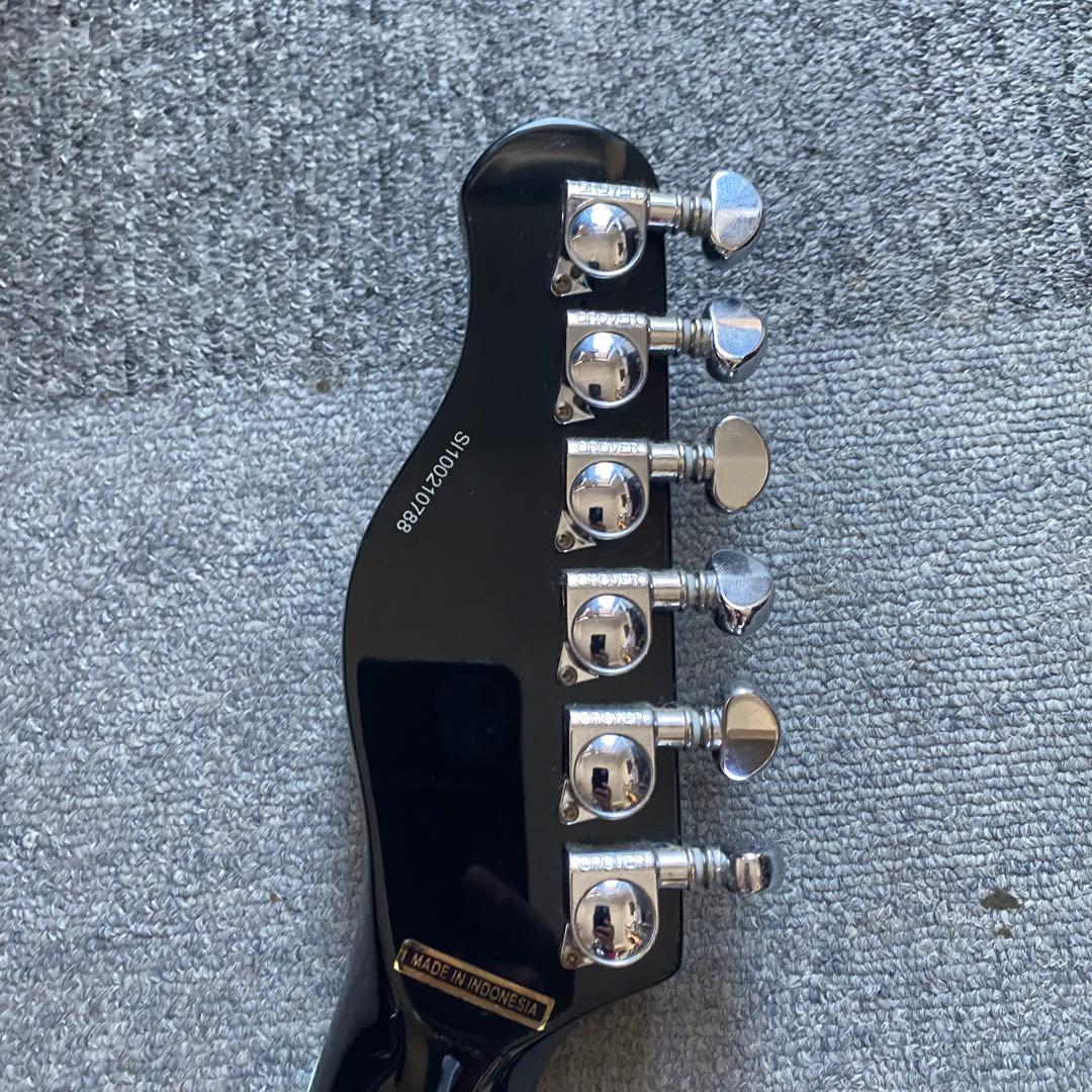 GReeeN hideシグネチャー テレキャスター セイモアダンカン グローバー