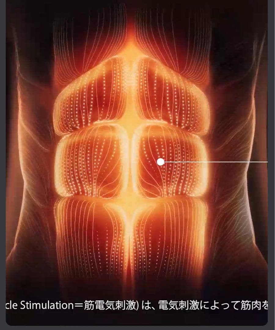 コアベルト2（L）