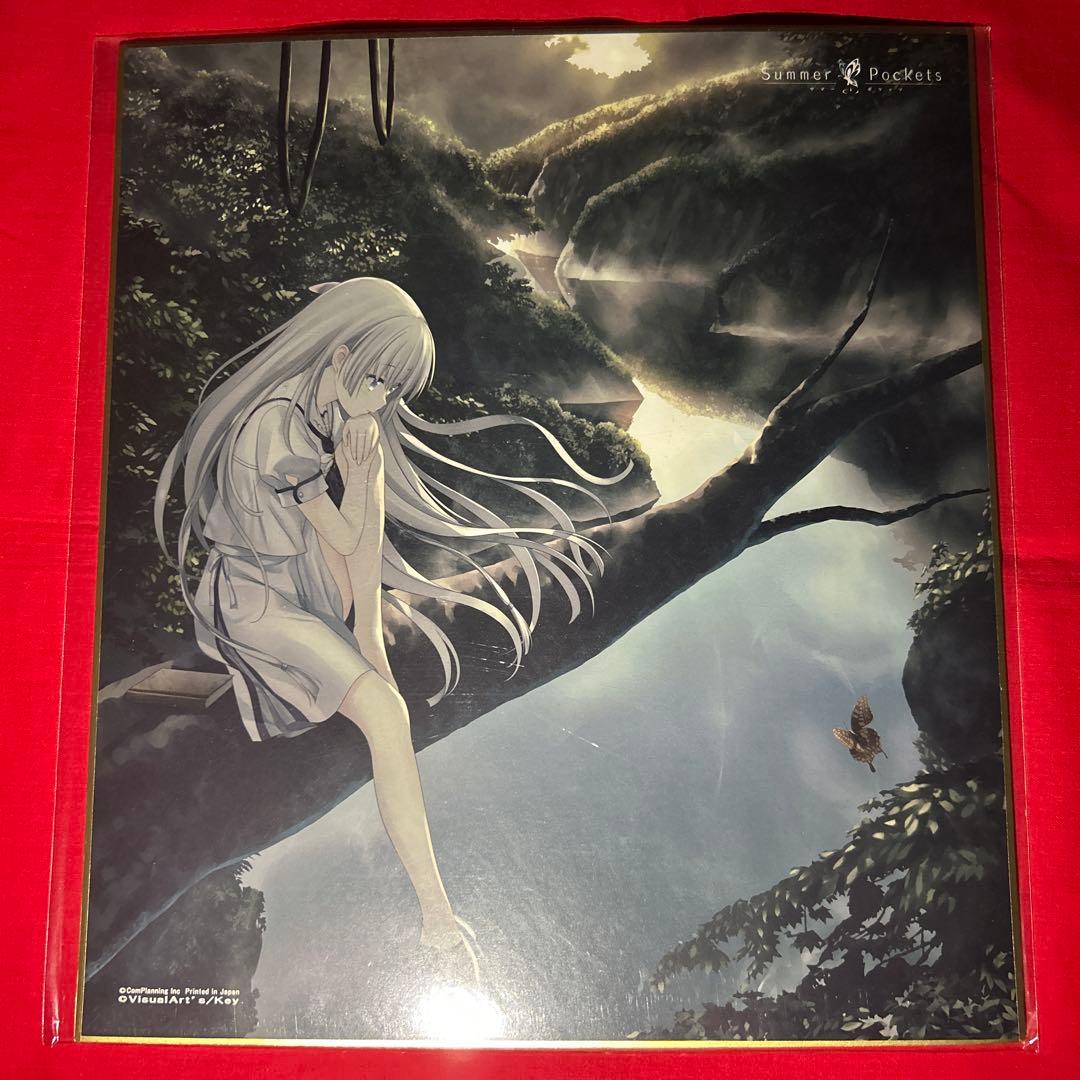 サマーポケッツ　しろは　蒼　鴎　紬　色紙　サマポケ