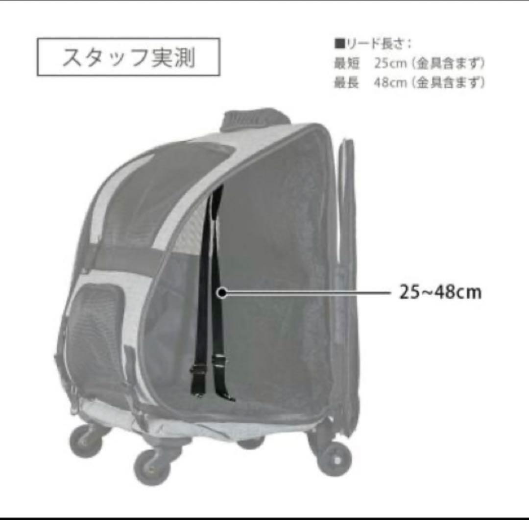 エアバギーフィット