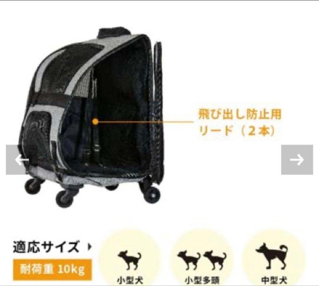 エアバギーフィット