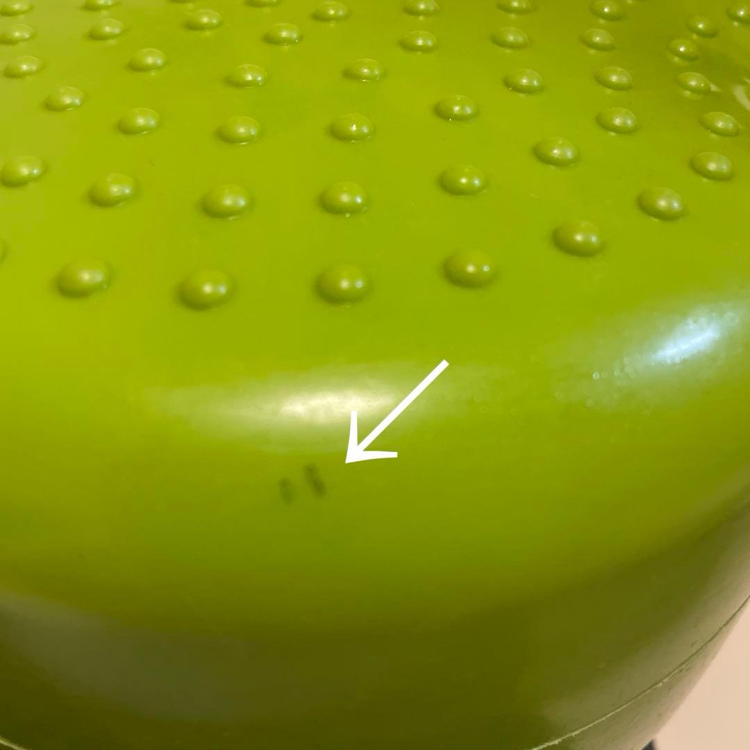 K9 FITbone CanineGym® 犬用 バランスボール　トレーニング