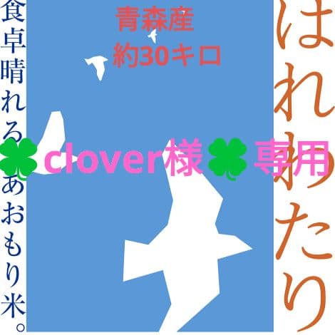 青森産　はれわたり　令和6年度　約30キロ