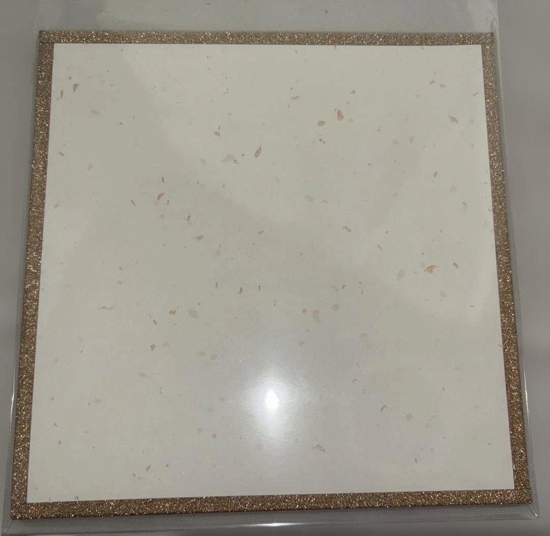 チェンソーマン レゼ篇 アクリル色紙 セミコンプ 10枚セット