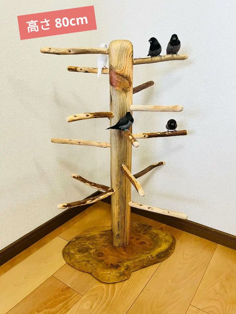 【中型鳥用】螺旋状♪ビビリさんにもすぃすぃ登れるバードスタンド