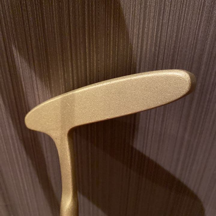 値下げ！トラサルディ ゴルフバック、クラブセット