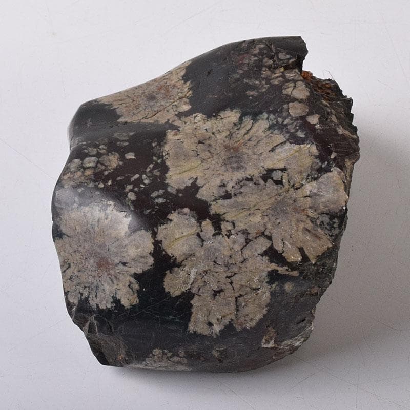 天然石　鑑賞石　菊花石　置物　重さ約788g　V　R8599