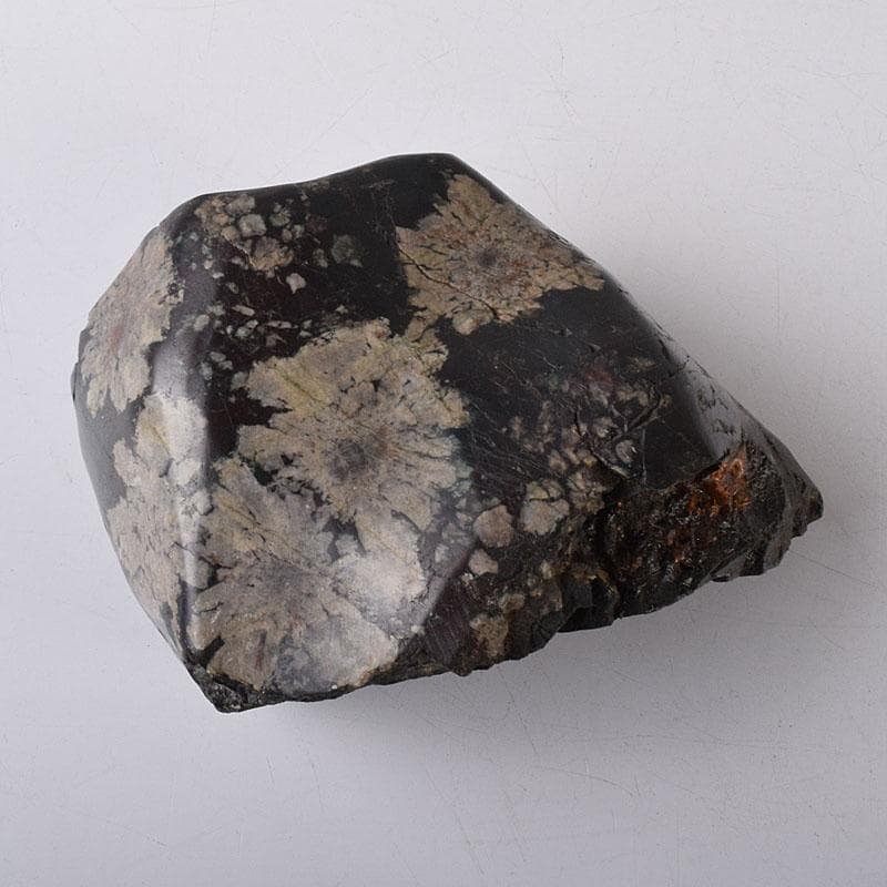 天然石　鑑賞石　菊花石　置物　重さ約788g　V　R8599