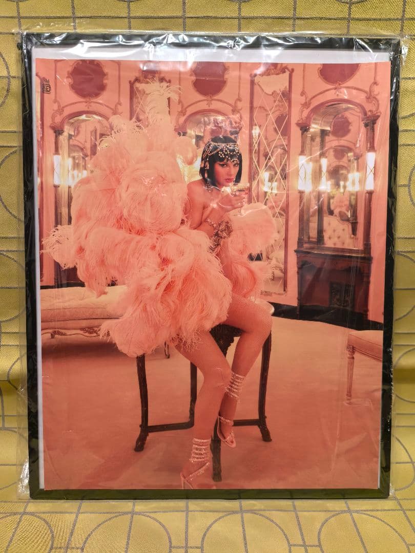 ミュージシャン The Life of a Showgirl Posters (Replica)