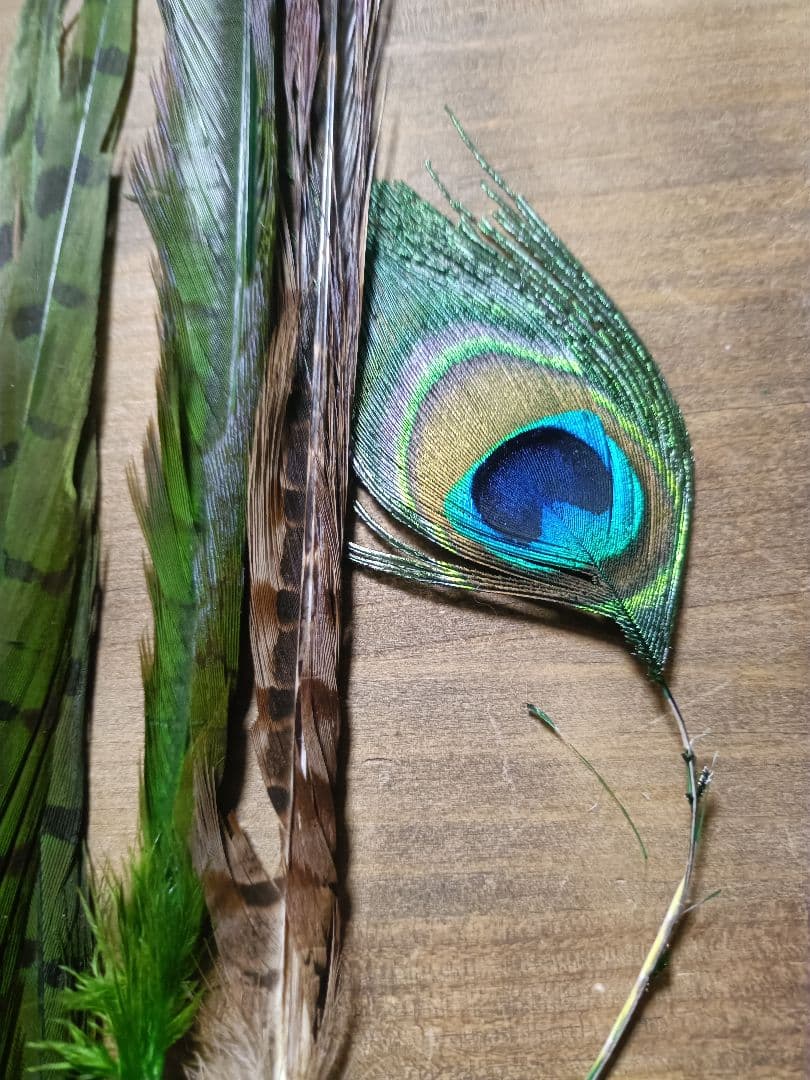 ​【希少】ゴールデンフェザント コンプリート ＆ ORVIS ピーコック セット