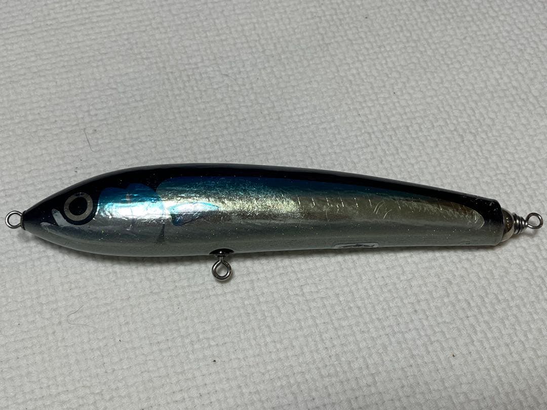 ブルーフィッシュ160 【FISH】　カーペンター　carpenter γ BF