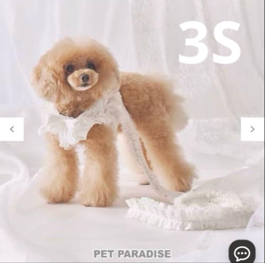 極美品♡フリフリハーネス、フリフリリード