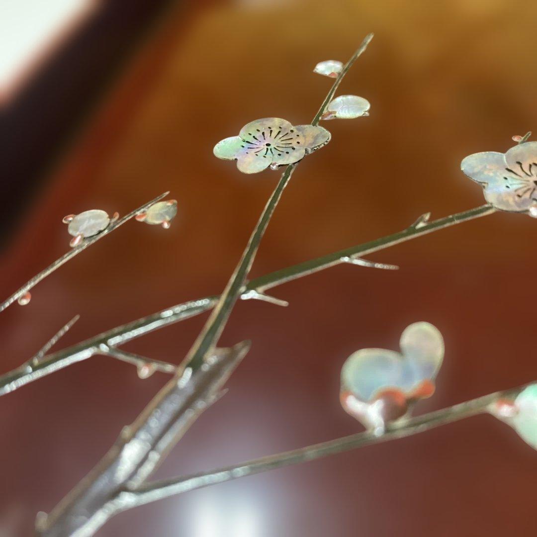 勇助塗　梅貝入に鳥高蒔絵？模様5枚