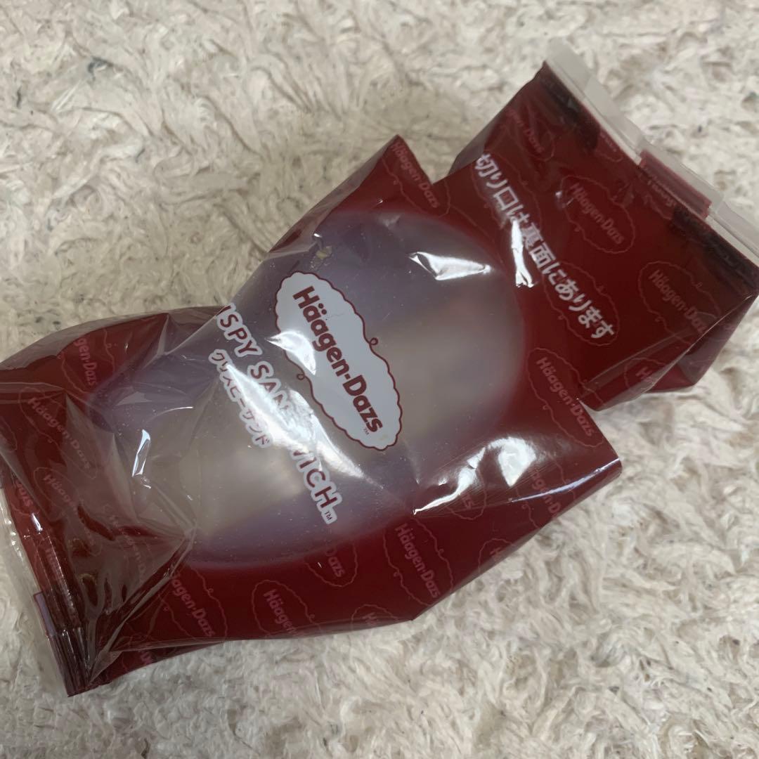 ハーゲンダッツのゴミ