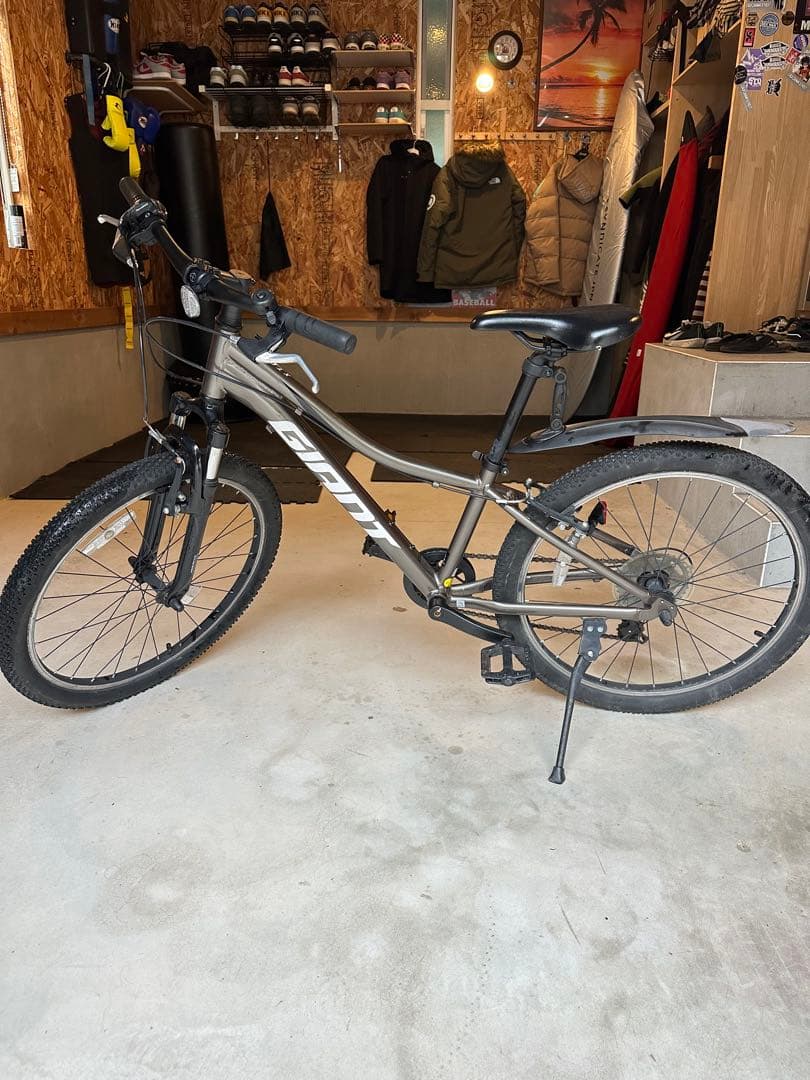 ジャイアント　xtc 24