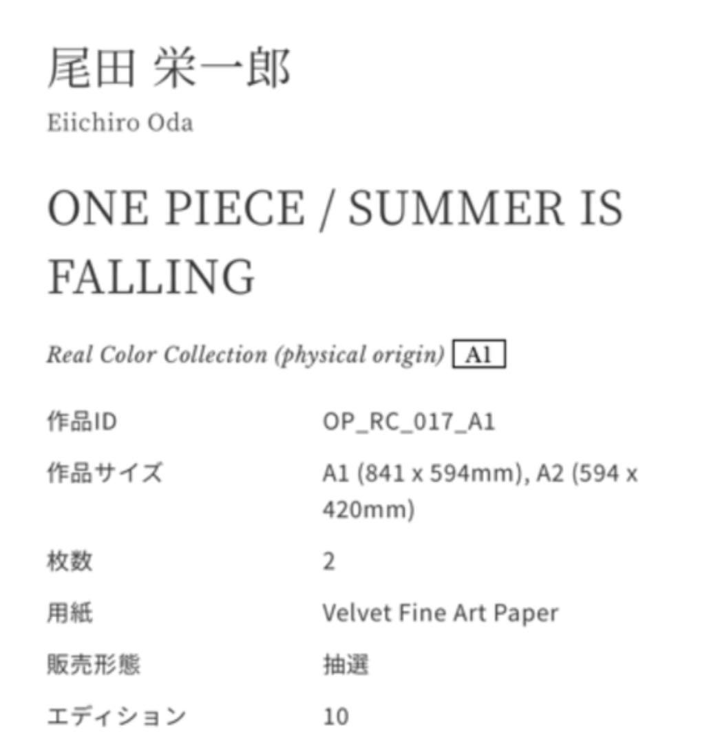 画材 ONE PEACE/SUMER IS FALLING